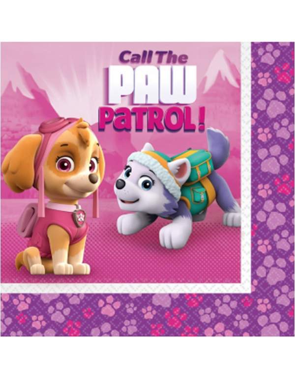HappyKuchen.de Paw Patrol Girl Geburtstagsdekorationspaket Skye und Everest - 3