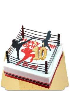 HappyKuchen.de Veganer, biologischer und glutenfreier Kickboxkuchen - 239