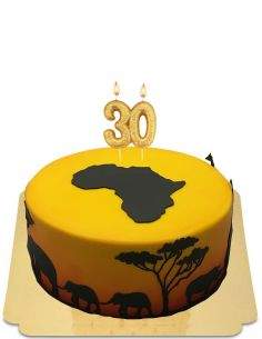 HappyKuchen.de Gâteau Afrique vegan, bio et sans gluten - 220