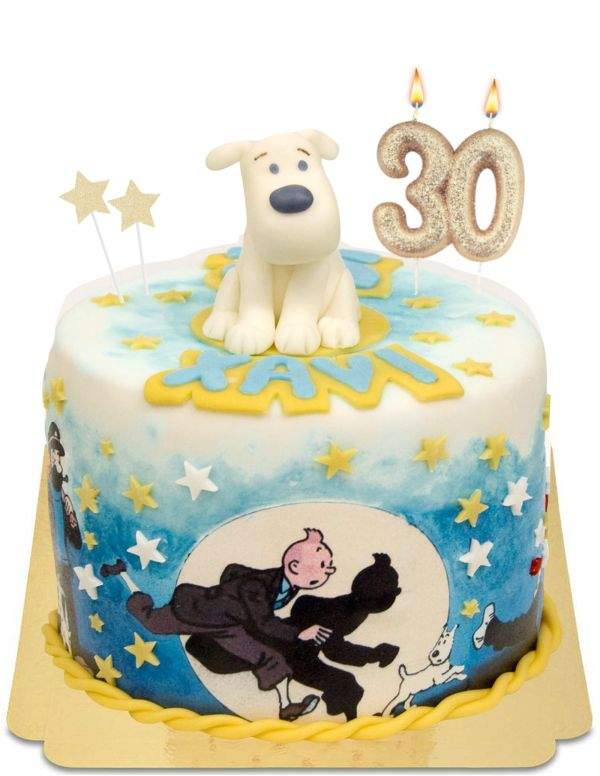 HappyKuchen.de Gâteau Tintin vegan, bio et sans gluten - 170