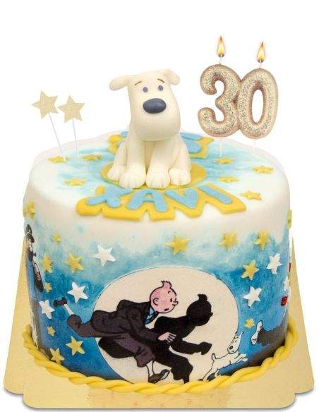 HappyKuchen.de Gâteau Tintin vegan, bio et sans gluten - 170