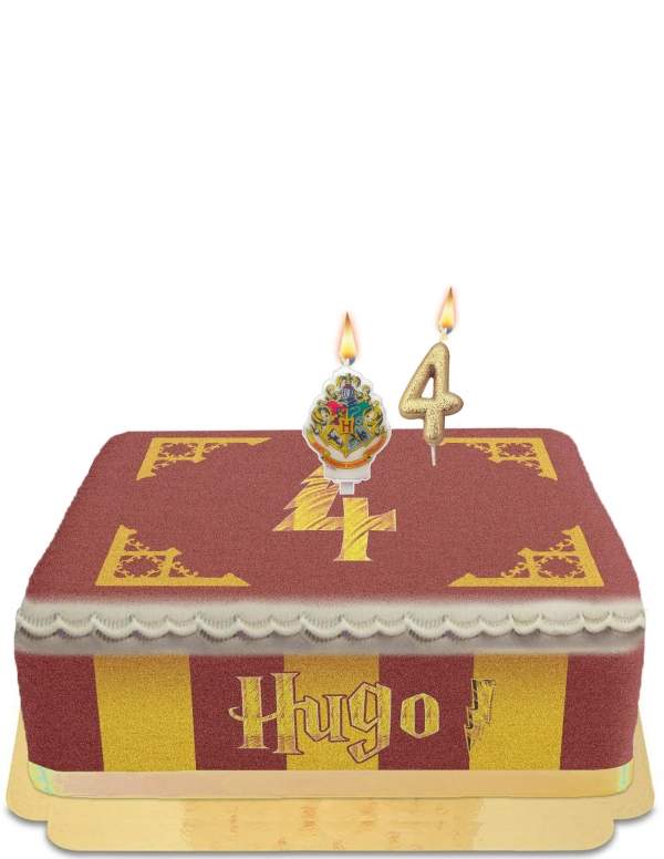 HappyKuchen.de Harry Potter Schokoladen-Froschkuchen ohne Ei, Vegetarisch und Glutenfrei - 64